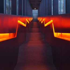 Lichtlinien...... Werner Schuffenhauer